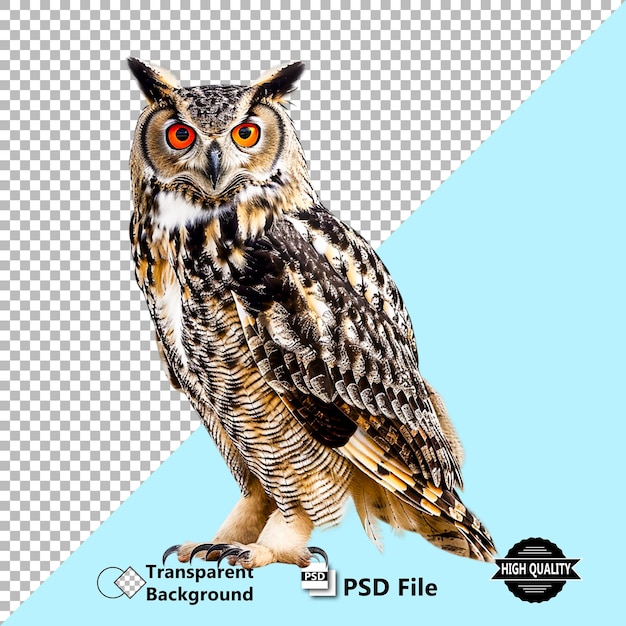 Realistisch geïsoleerd uil vogel dier PSD illustratie ontwerp met doorzichtige achtergrond