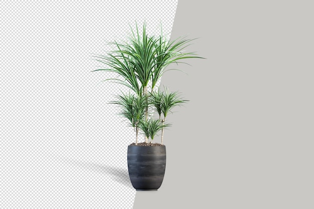 Realistische 3d render van potplant geïsoleerd