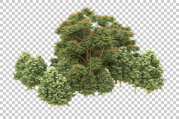PSD realistische bos geïsoleerd op transparante achtergrond 3d rendering illustratie