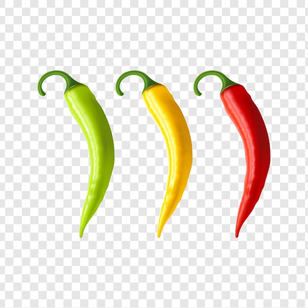 Realistische Chili Peppers in drie kleuren geïsoleerd op een doorzichtige achtergrond