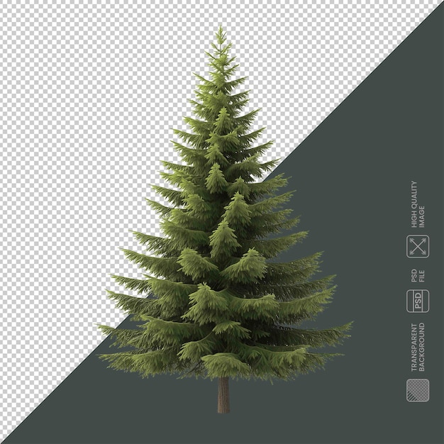 Realistische kerstboom geïsoleerd op een doorzichtige achtergrond