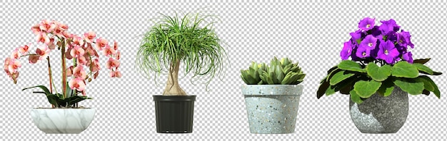 PSD realistische minimale kamerplantpotten binnenknipsel op transparante achtergronden 3d-rendering