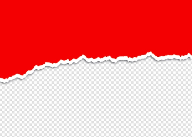 Realistische papier scheurt textuur