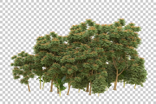 Realistisk skov isoleret på gennemsigtig baggrund 3D-gengivelsesillustration
