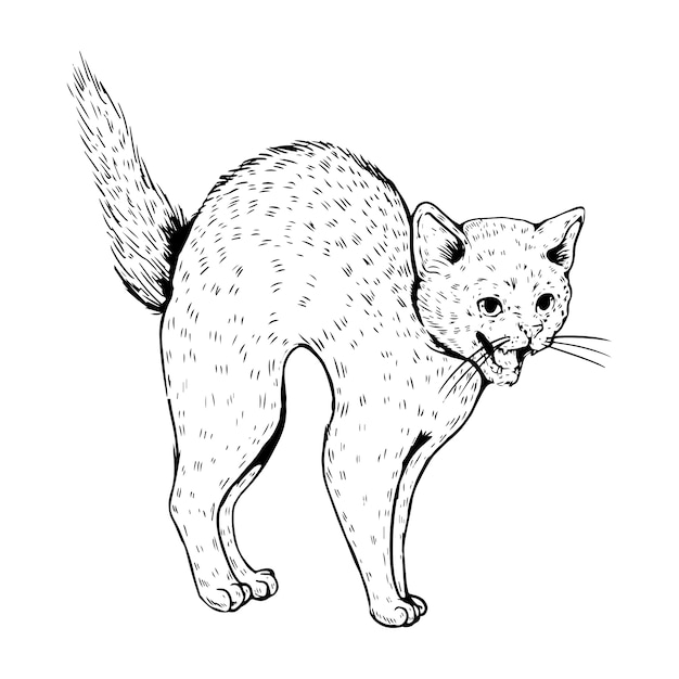 Realistyczna ręcznie rysowana ilustracja halloween z kotem