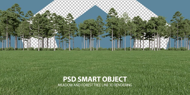 Realistyczne renderowanie 3d linii drzew łąkowych i leśnych izolowanych obiektów
