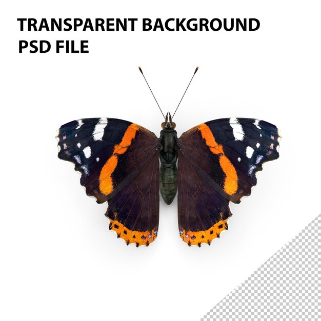 PSD red admirable butterfly png