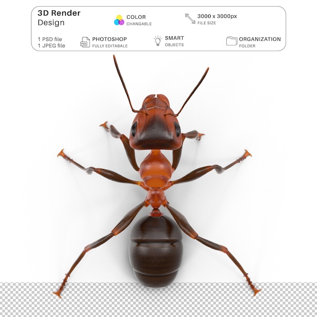 PSD red ant 3d modeling psd-bestand realistische mier