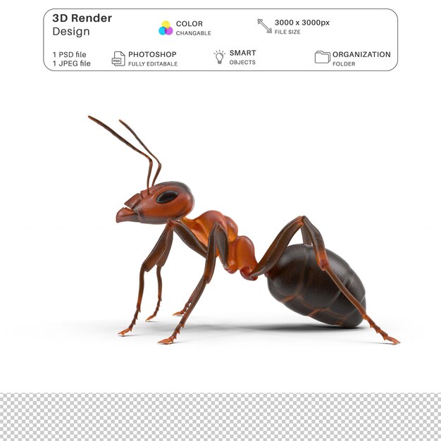 PSD red ant 3d modeling psd file realistic ant