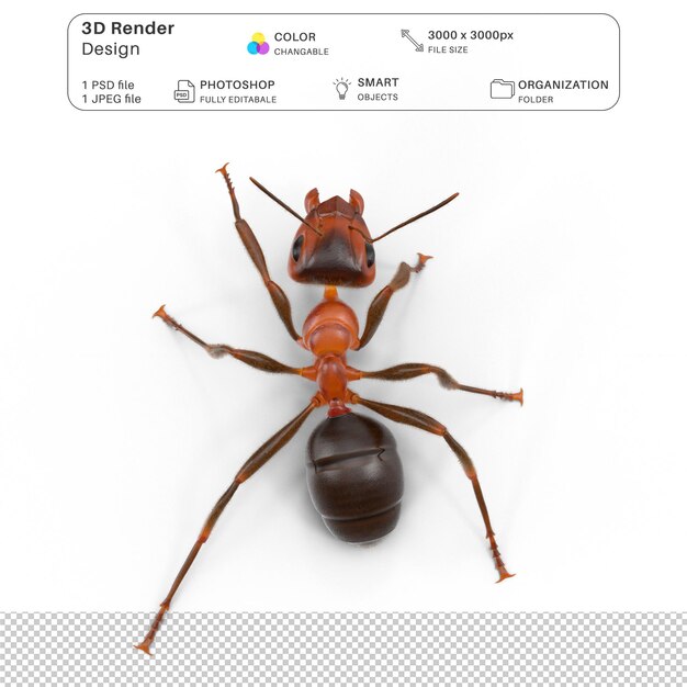 PSD red ant 3d modeling psd file realistic ant