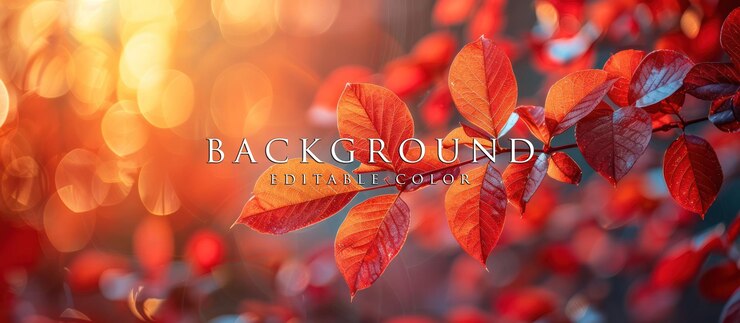 PSD red autumn leaves in the sunlight
