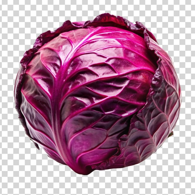 PSD red cabbage isolated on transparent background