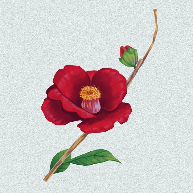 PSD red camellia