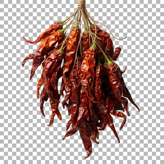 Red chilies on transparent background