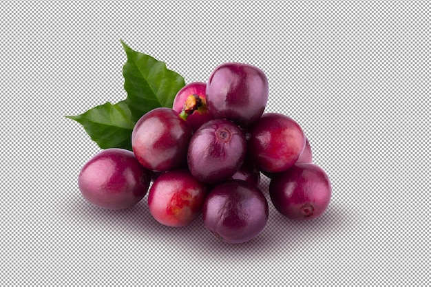 Red coffee beans isolated on an alpha background