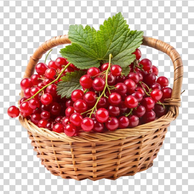 PSD red currants in a basket isolated on transparent background