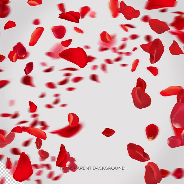 PSD fiori rossi rossi petali sovrapposizione trasparente 18