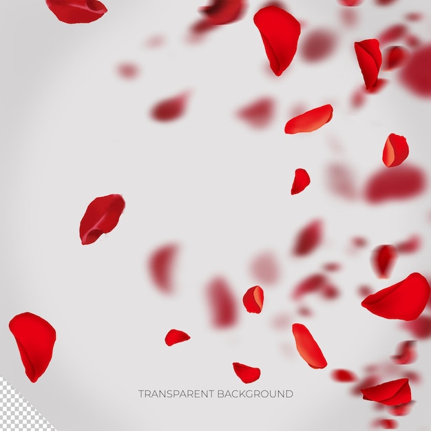 PSD red flower roses petals transparent overlay 3