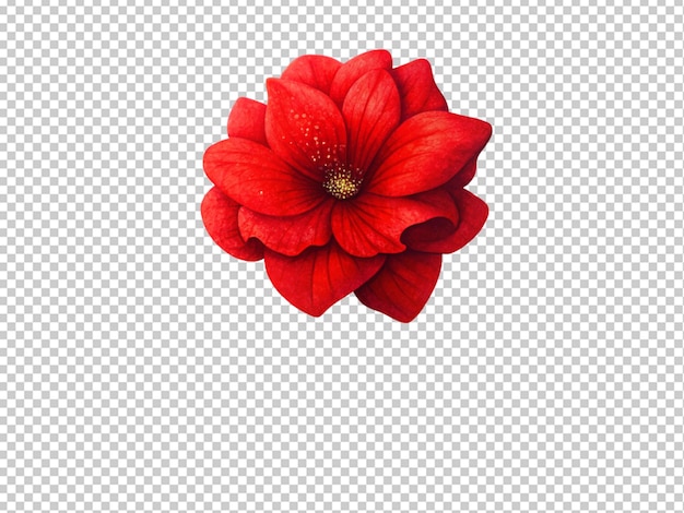 PSD red flower