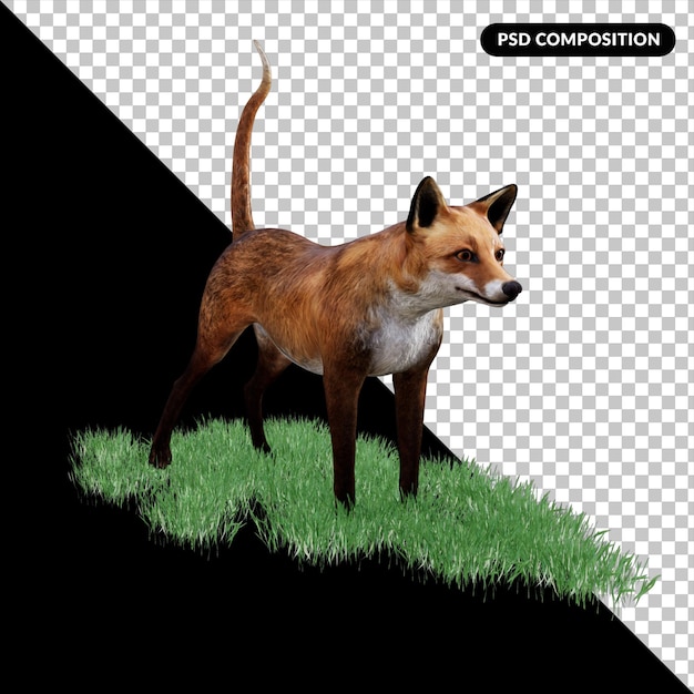 PSD red fox vulpes isolated 3d rendering