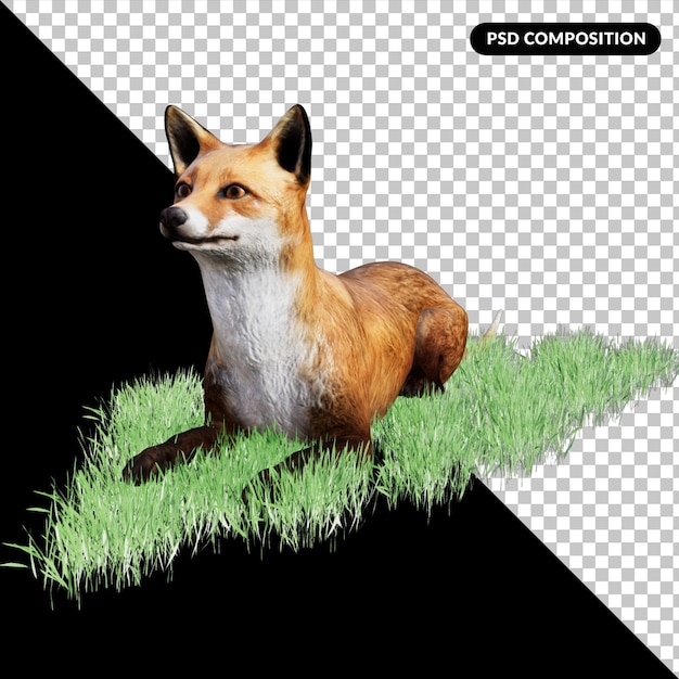 PSD red fox vulpes isolated 3d rendering