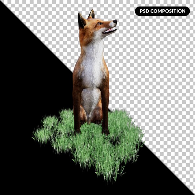 PSD red fox vulpes isolated 3d rendering