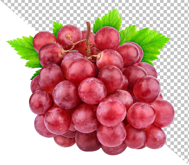 Red grape isolated on white background with clipping path