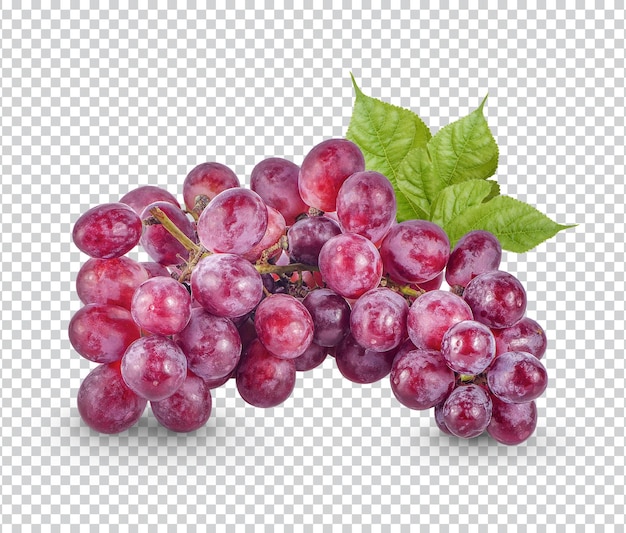 Uva rossa con foglie isolate