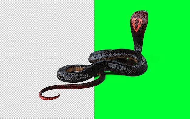 PSD Красная голова и красный хвост королевской кобры, самой длинной ядовитой змеи в мире, изолированной на зеленом фоне