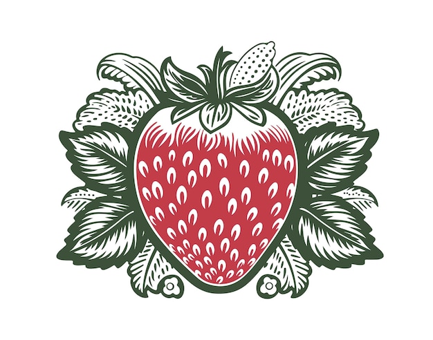 Red juicy strawberry logo vector stamp tattoo