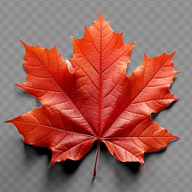 A red maple leaf with a red leaf on it