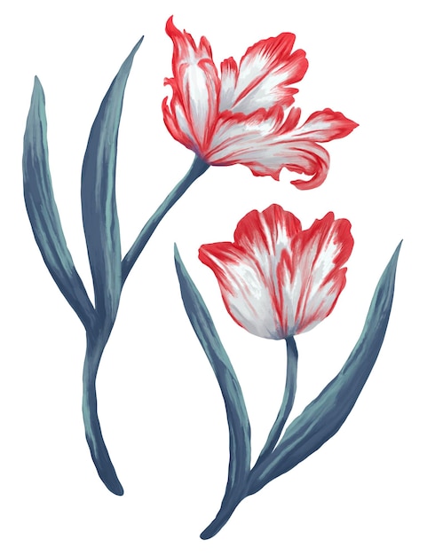 PSD red parrot tulips painting