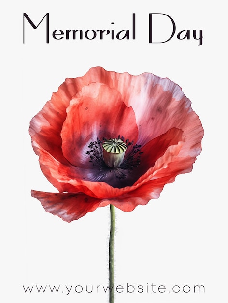 red poppy memorial day template