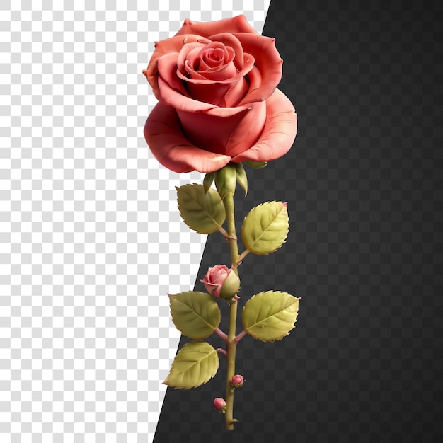 Red rose floser isolated