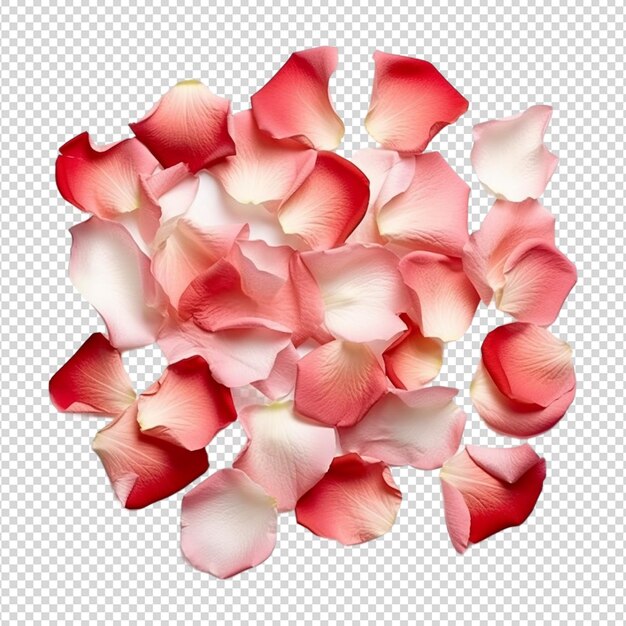 PSD 赤いバラの花びらを白い花びらに分離する