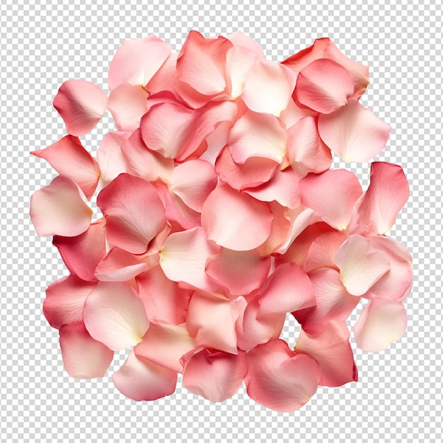 PSD red rose petals isolated on white