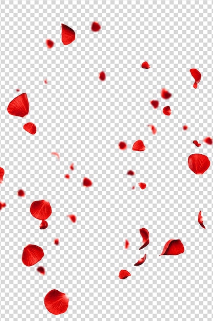 PSD red roses petals flying romantic overlay background