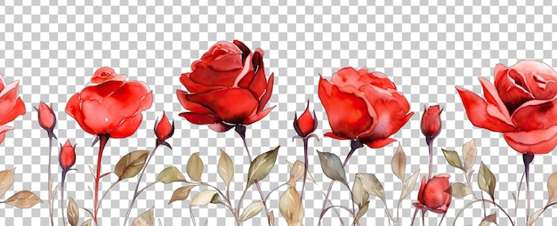 Красные розы в стиле акварели Нижний колонтитул границы Бесшовные плитки, изолированные на прозрачном фоне