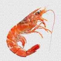 PSD red shrimp isolated on transparent background png