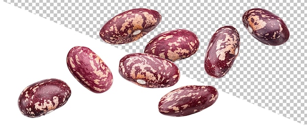 Red speckled beans isolated on white background