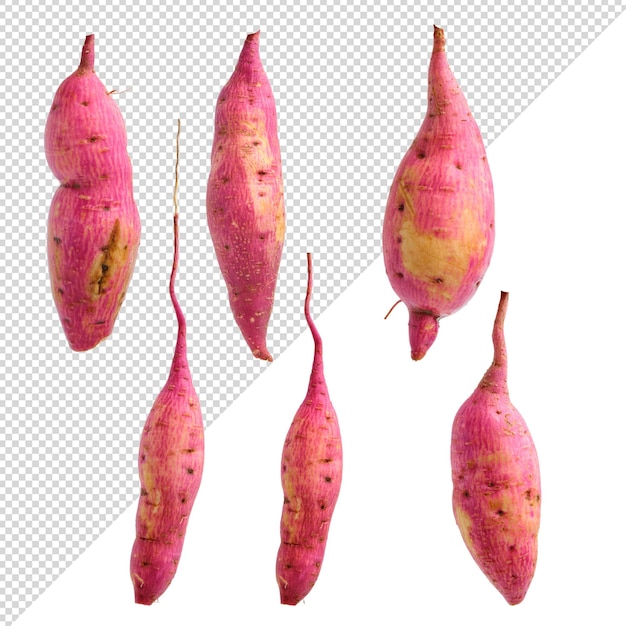 Red sweet potato on transparent background