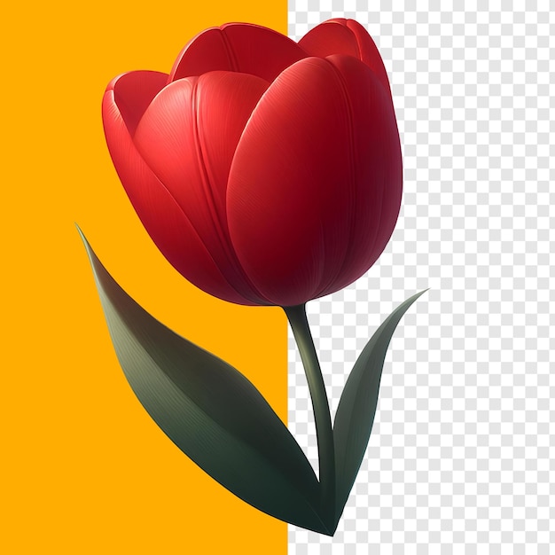 PSD red tulip psd