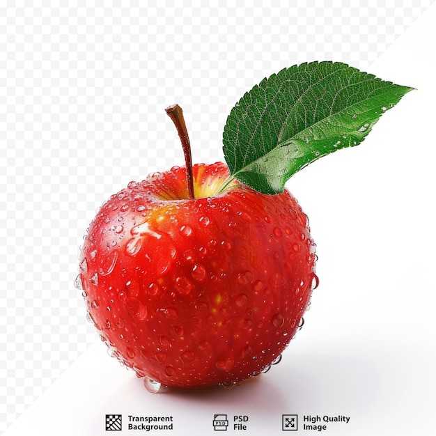 Red wet apple