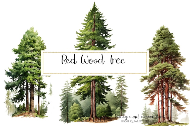 PSD red wood tree clipart