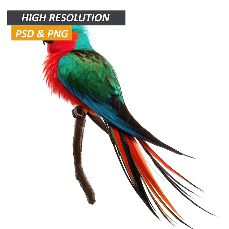 PSD redrumped parrot on branch