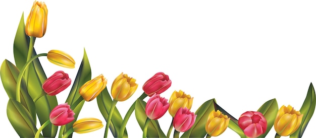 Redyellow bloem illustratie met groene bladeren