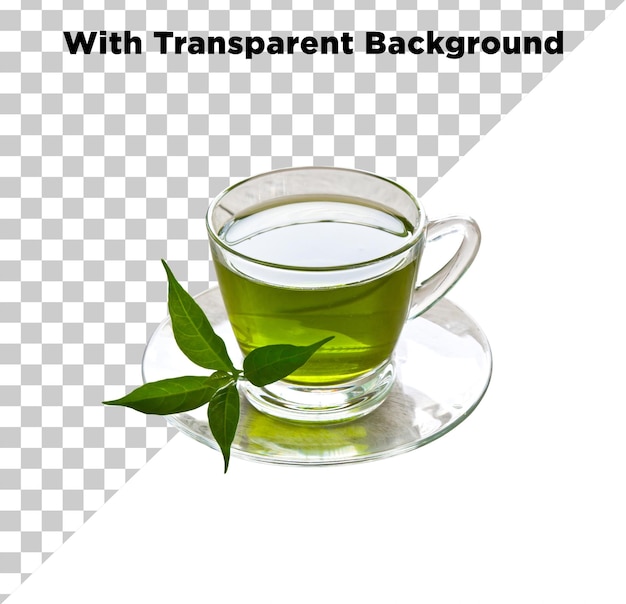 Refreshing Herbal Tea in Glass Cup