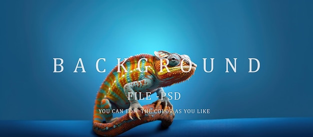 Regenboogkleurige chameleons vervagen de blauwe achtergrond