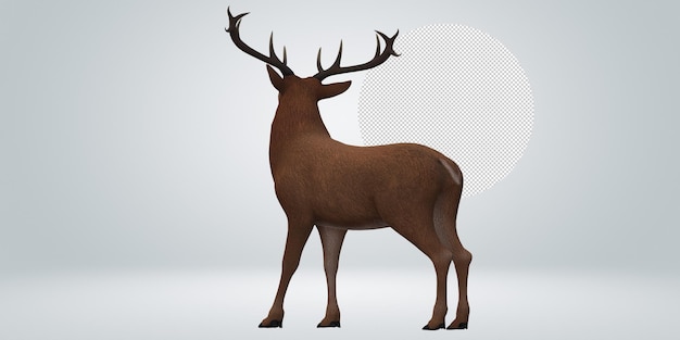 PSD reindeer isolated on a transparent background