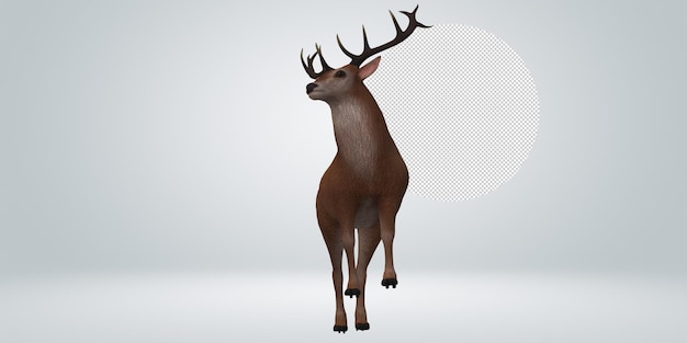 Reindeer isolated on a Transparent Background